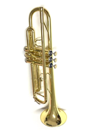 TROMPETE DOURADO CORDEIRO