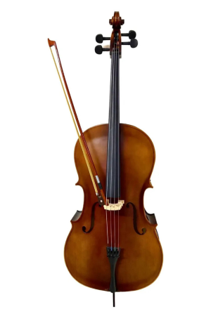 violoncelo2